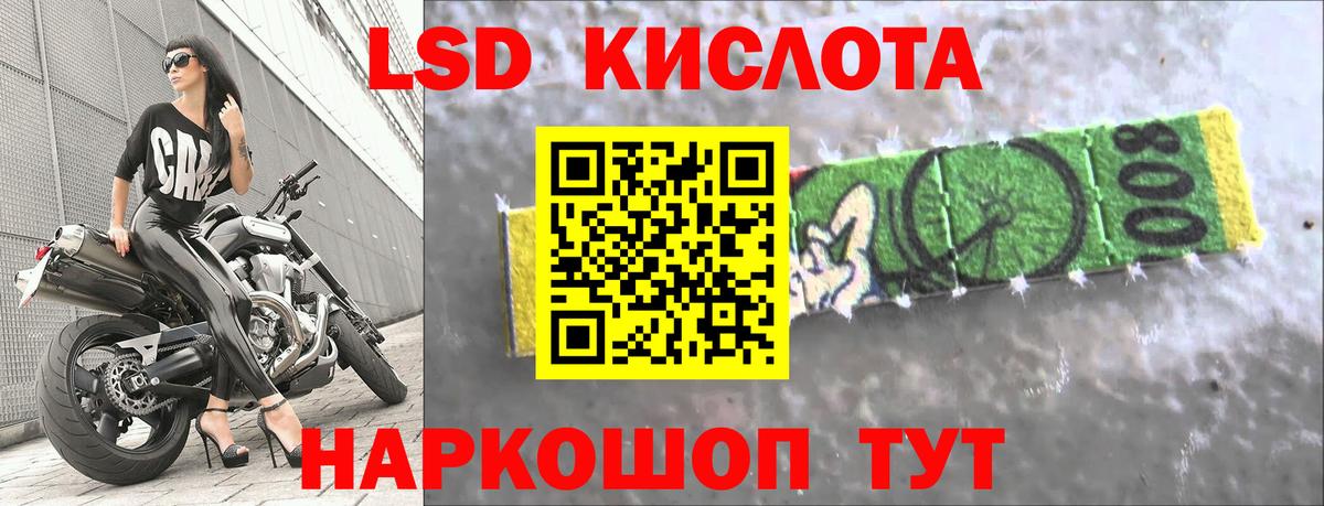 Псилоцибиновые грибы Реж
