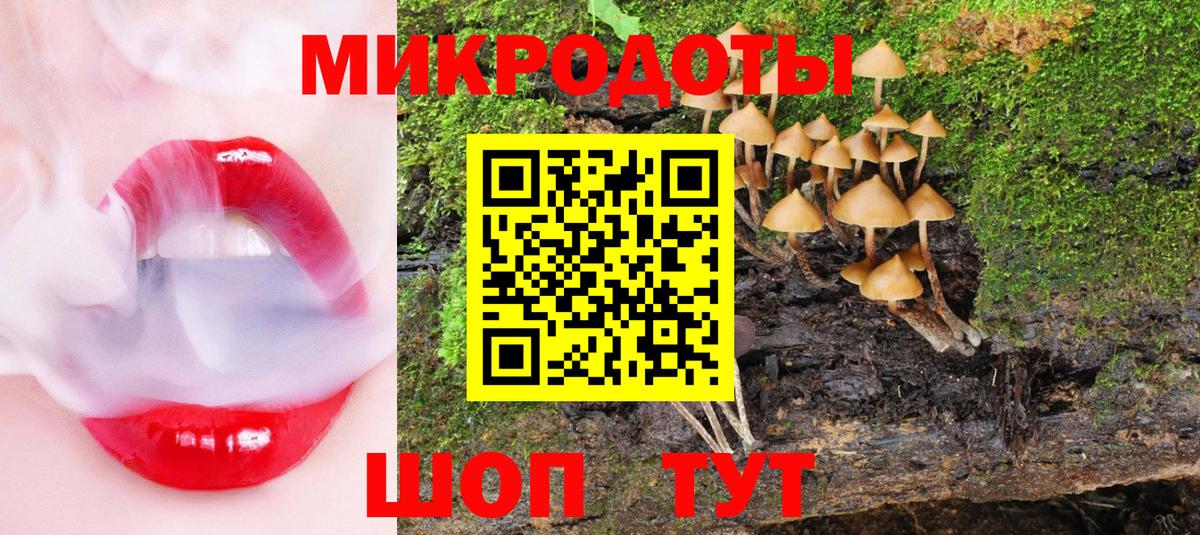 Псилоцибиновые грибы Psilocybe  Вход с VPN  Реж 