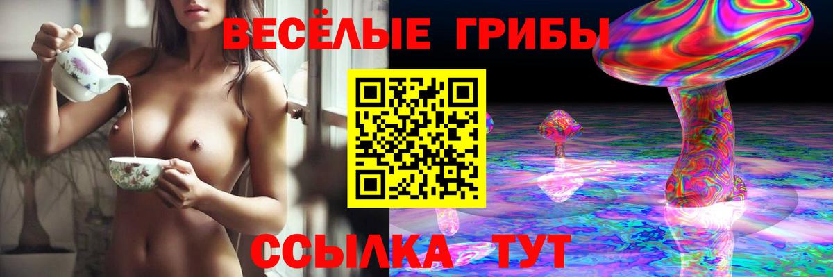 Галлюциногенные грибы мицелий Реж